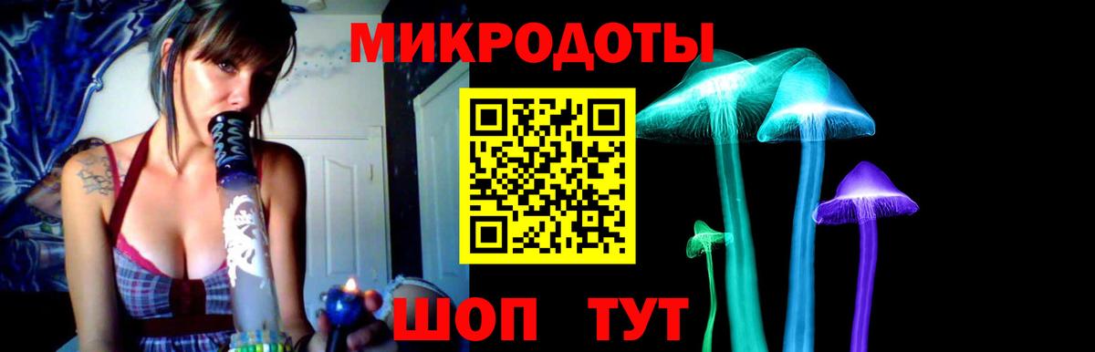 Псилоцибиновые грибы ЛСД Ленинск-Кузнецкий